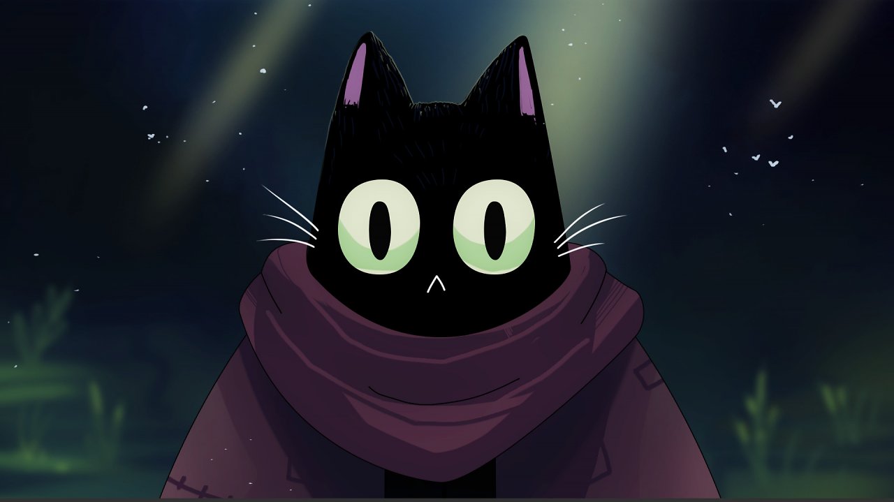 Kater Pluto schau mit seinen großen Augen in die Kamera.