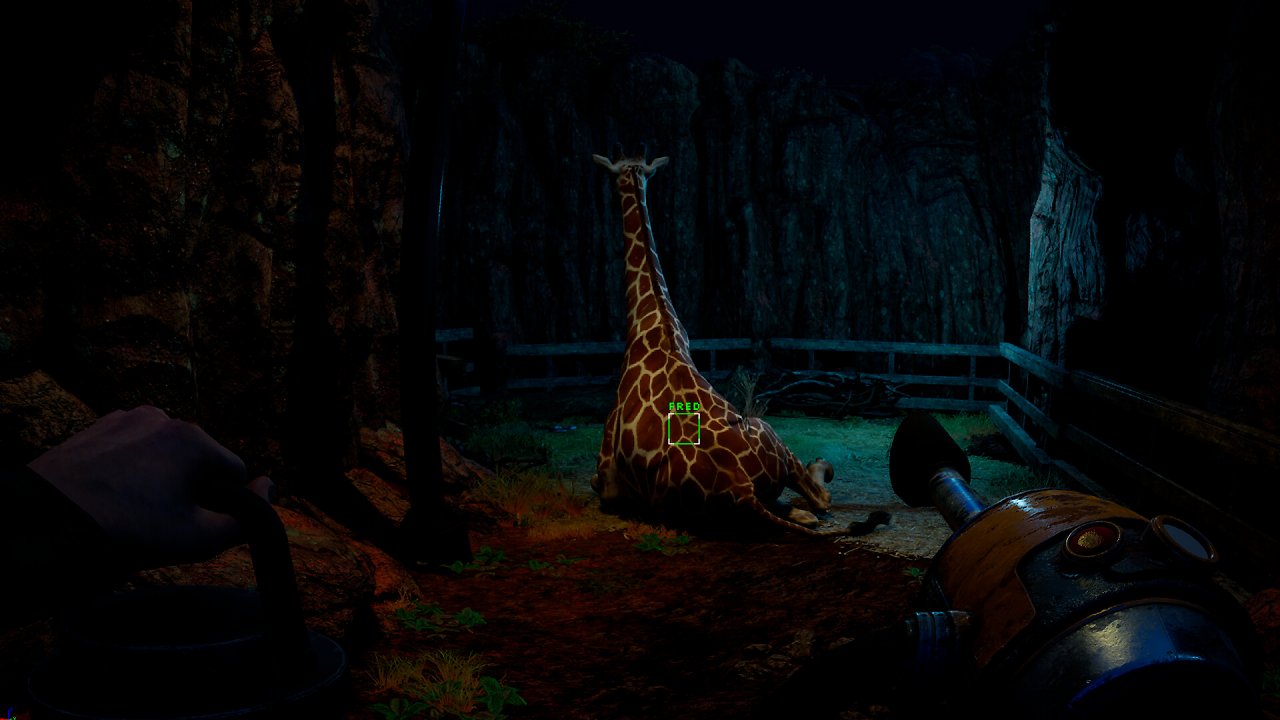 Eine liegende Giraffe von hinten
