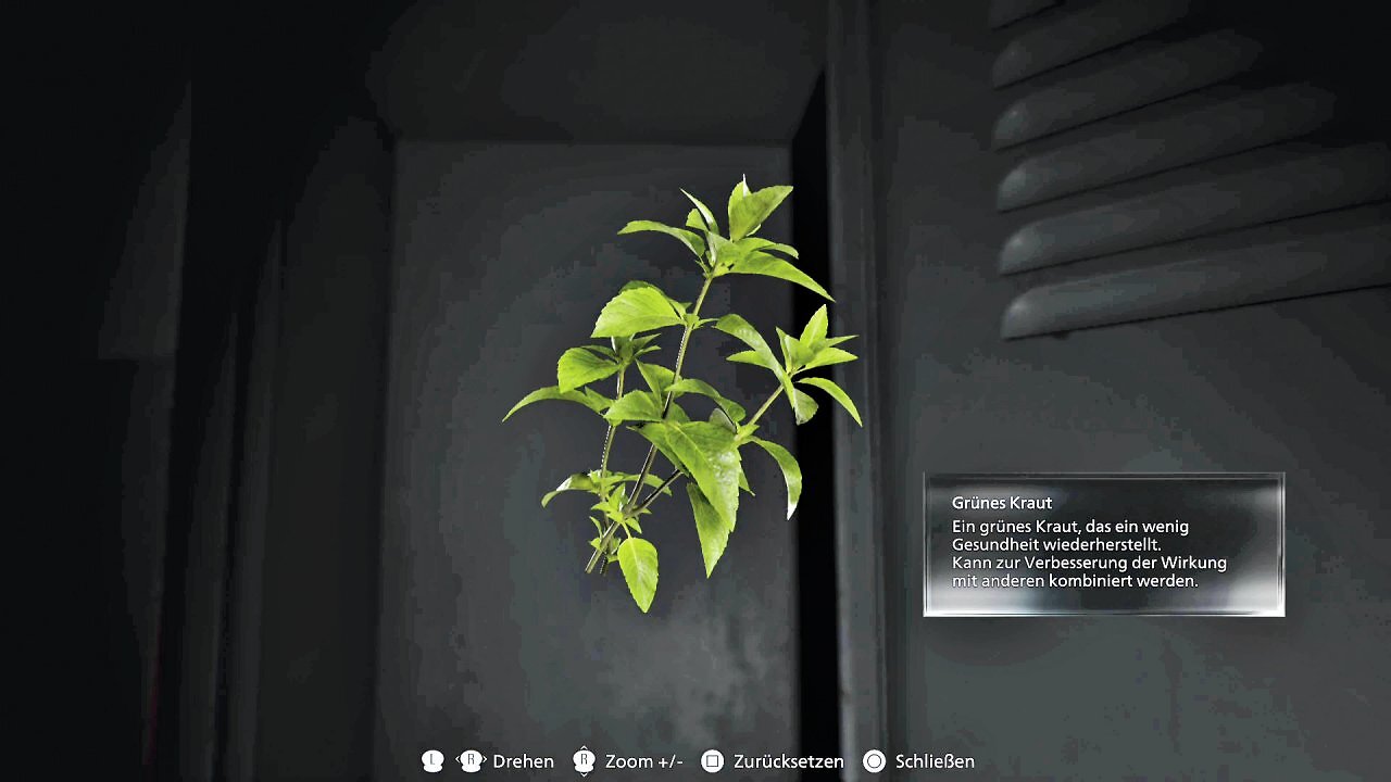 [14/08/2025] Das vielleicht berühmteste Kraut in der Videospiel-Geschichte darf auch in Requiem nicht fehlen. Wie immer gilt: Werdet ihr teilweise angeknabbert, flickt euch das grüne Kraut wieder zusammen.&nbsp;