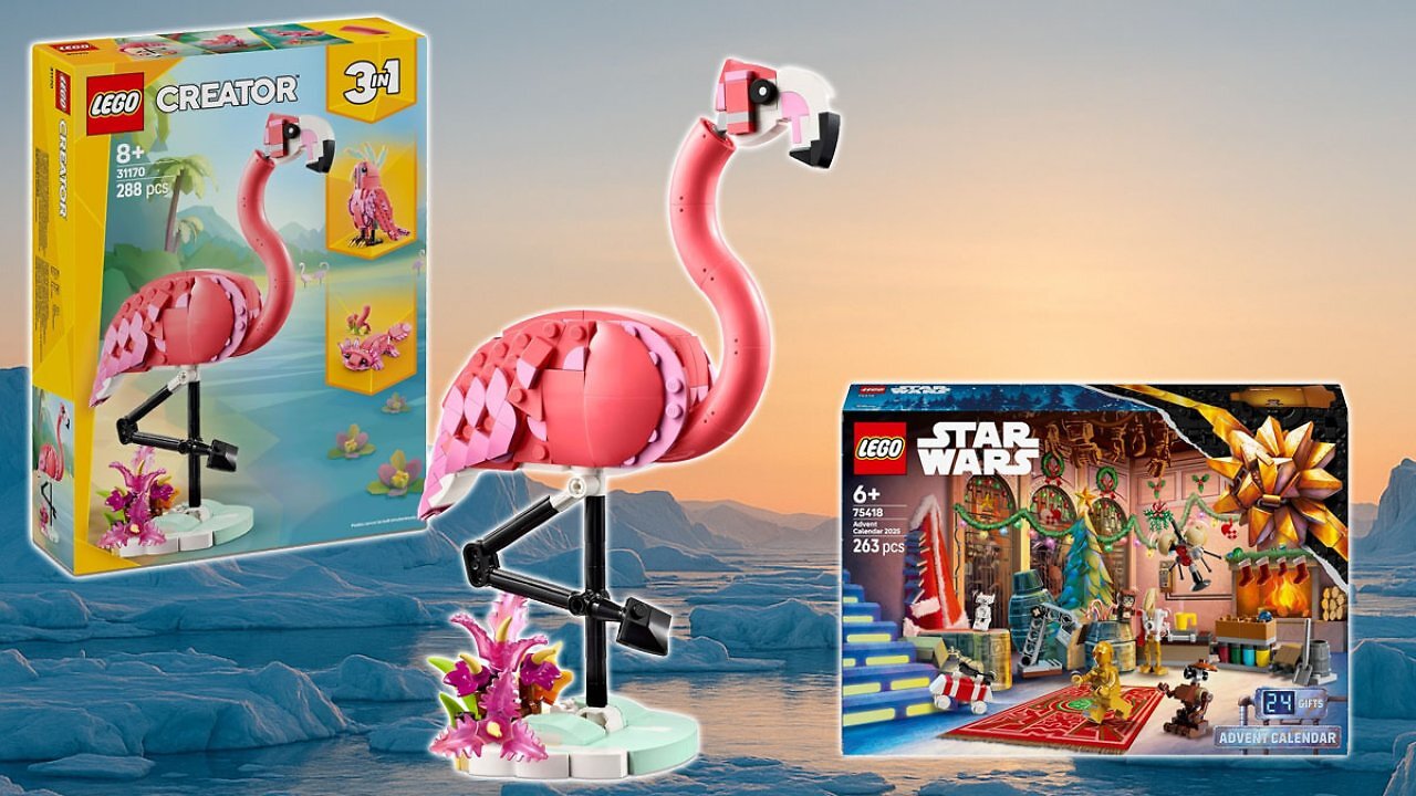 [07/11/2025] Ideal für Nikolaus: 3-in-1-Set von Lego fliegt bei Amazon für 14,99 € als Flamingo nie billiger davon