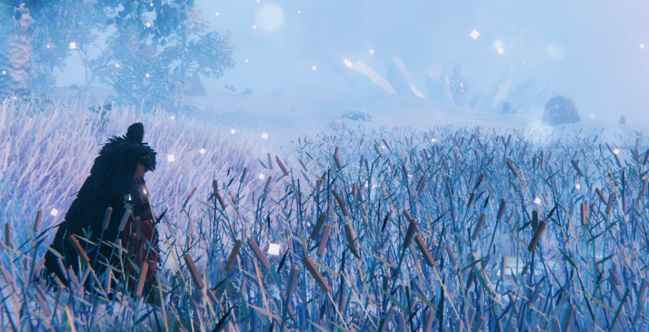 [30/01/2026] Valheim wächst weiter:&nbsp;​Deep-North-Update rückt näher