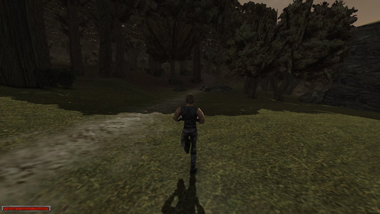 D3D11