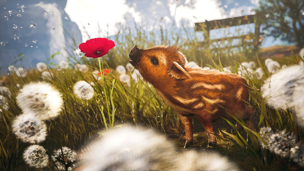[07/05/2026] Das neue Open-World-Spiel Adorable Adventures geht derzeit bei Steam so richtig steil.