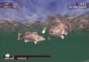 Screenshot zu Bass Strike - 2001/11/11889Bass3.jpg