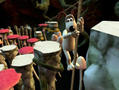 Screenshot zu Wallace & Gromit in Projekt Zoo - 2004/02/31_11114.jpg