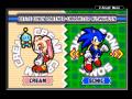 Screenshot zu Sonic Advance 3 - 2004/07/12_111111.jpg