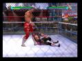 Screenshot zu Showdown: Legends of Wrestling - 2004/08/1_bug.jpg