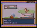 Screenshot zu Pokémon Blattgrün & Feuerrot - 2004/10/17_129.jpg