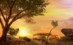 Screenshot zu Far Cry 2 - 2007/08/farcry09.jpg