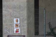 Artikel Vorschau Bild