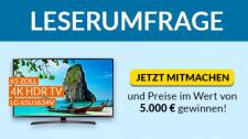 Artikel Vorschau Bild