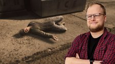 Artikel Vorschau Bild