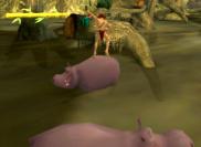 Die Hippos sind als Trapolin erste Wahl