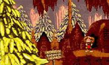 Donkey Kong Country