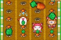 Hamtaro: Ham Ham Games