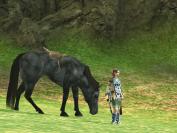 Shadow of the Colossus - Profitipps