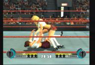 WWE: Day of Reckoning 2