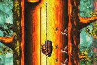 Donkey Kong Country 3