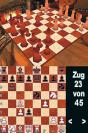 Schach