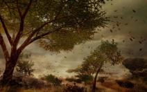 Neues Video zu Far Cry 2 zeigt dynamische Wettereffekte