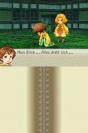 Final Fantasy Crystal Chronicles: Ring of Fates - Nintendo DS
