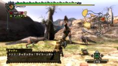 <strong>Monster Hunter 3</strong> - Auch für die Monster-Klopperei samt Gegnern und zahlreichen Gegenständen braucht ihr eine gewisse Eingewöhnungszeit. 
