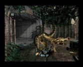 Dass uns Dinos auch mal von außerhalb des Sichtbereiches anspringen, ist eines der wenigen Mankos des Titels.