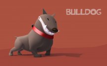 Bulldog