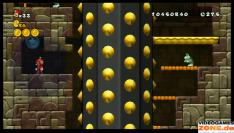 New Super Mario Bros. Wii (1)