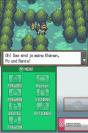 DS-Spiele-Charts KW24 2010: Die Top 20 der DS- und DSi-Spiele mit Pokémon, New Super Mario Bros. und Mario & Luigi