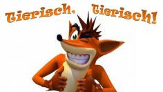 Tierisch, tierisch! - In diesen Spielen wirst du zum Tier