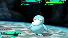 Ein Shiny-Enton.