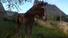 Kingdom Come: Deliverance: So findet ihr Plötze aus The Witcher 3 - Guide mit Video