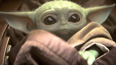 Baby Yoda blickt mit Welpen-Blick in die Kamera.
