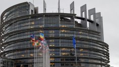 Strengere Regulierung von Videospielen: EU-Parlament stimmt mit Mehrheit zu