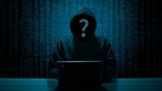 6 Monate zu früh: Dieser Leak zu Avatar verschenkt kompletten Film im Netz