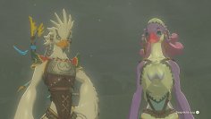 Zelda: Tears of the Kingdom Tipp - den versteckten Abgrund am Orni-Dorf finden