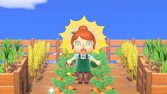Alles, nur das nicht: Bitte macht keine Farmsimulation aus Animal Crossing!
