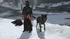 Tierische Begleiter in Ghost of Yotei: So verändert der Wolf das Spielgefühl