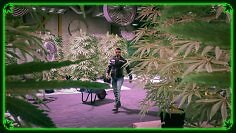 <strong>GTA 5: </strong>Rockstar startet neues 420-Event im Online-Modus&nbsp;​
