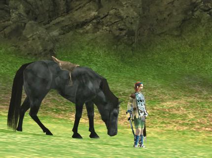Shadow of the Colossus - Profitipps