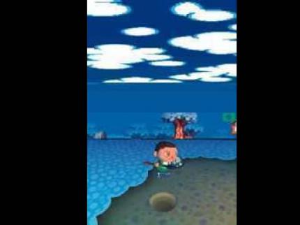 Import-Test: Animal Crossing: Wild World