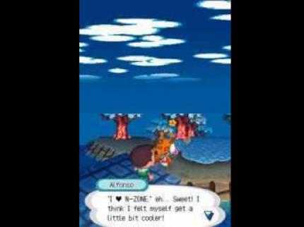 Import-Test: Animal Crossing: Wild World