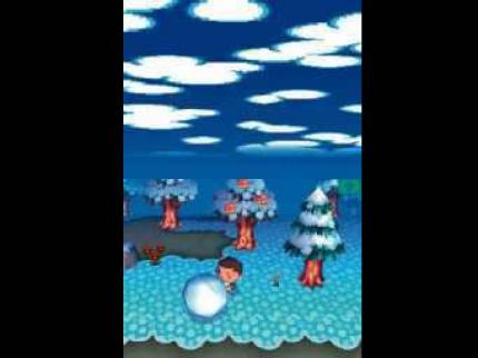 Import-Test: Animal Crossing: Wild World