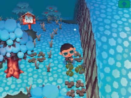 Animal Crossing: Wild World