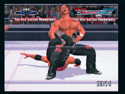 Earl Hebner würde das Match jetzt beenden ...
BILD: PLAYZONE