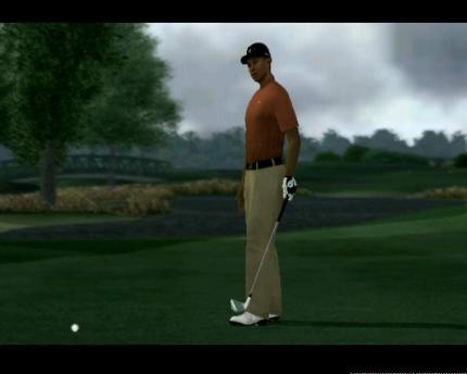 Tiger Woods PGA Tour 2008