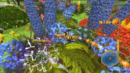 Auf dieser wunderschönen Blumenwiese warten die Blumen auf ihren Bestäuber.