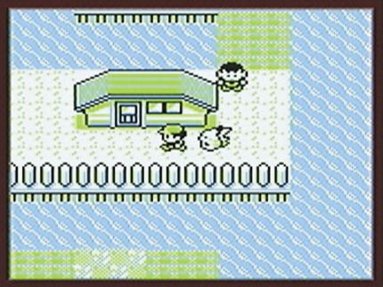 Pokémon Rot