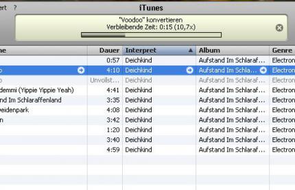 iTunes erledigt das Konvertieren der Songs auf den DSi rasch und zuverlässig.